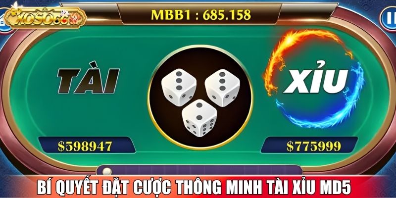 Bí quyết đặt cược thông minh trong trò chơi tài xỉu MD5