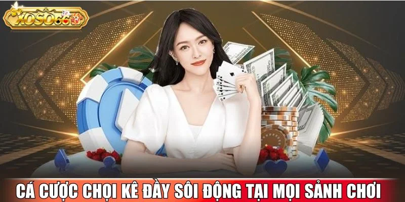 Cá cược chọi kê đầy sôi động tại mọi sảnh chơi