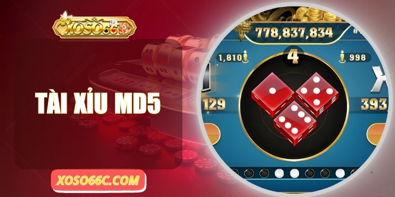 Tài Xỉu MD5 - Thu Hút Cao Thủ Với Tỷ Lệ Thắng Cực Cao