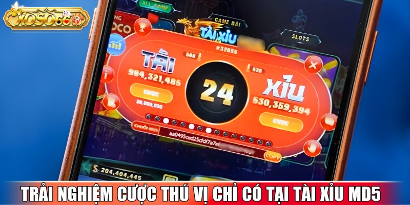 Trải nghiệm cược thú vị chỉ có tại tài xỉu MD5