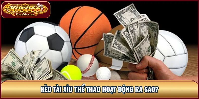Thể Thao XOSO66: Đọc Kèo Và Chọn Thị Trường Cược 2 Kèo tài xỉu thể thao hoạt động ra sao?