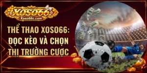 Thể Thao XOSO66: Đọc Kèo Và Chọn Thị Trường Cược