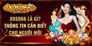 XOSO66 Là Gì? Thông Tin Cần Biết Cho Người Mới